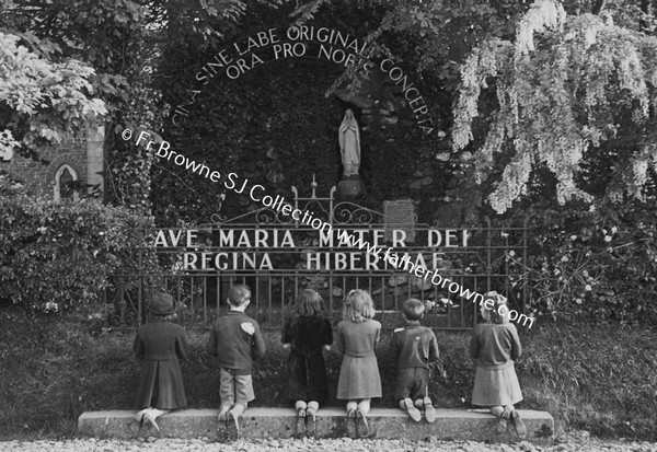 WAYSIDE SHRINE LOURDES NEAR TOGHER CHURCH